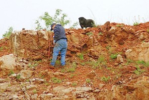 Looking for Druse on the Ledge