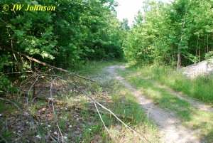 Road Leading In At Lafayette