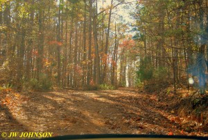 55 Road to Fisher Mtn Mine