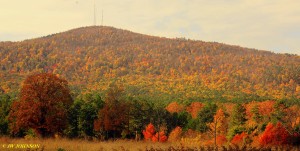 Mountain Color Near Y City