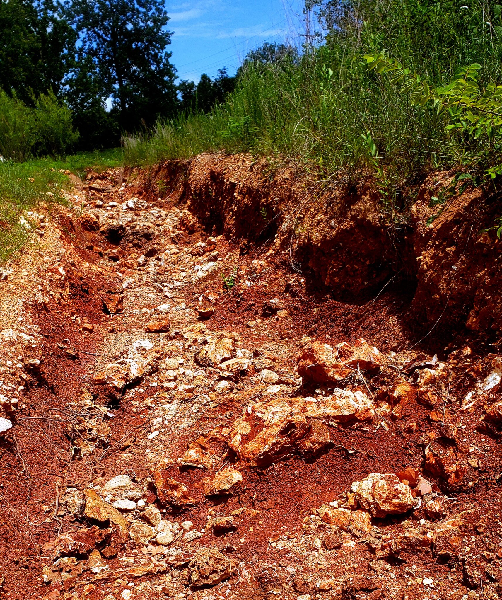 135520-Dry-Spillway-Creek-1714x2048.jpg